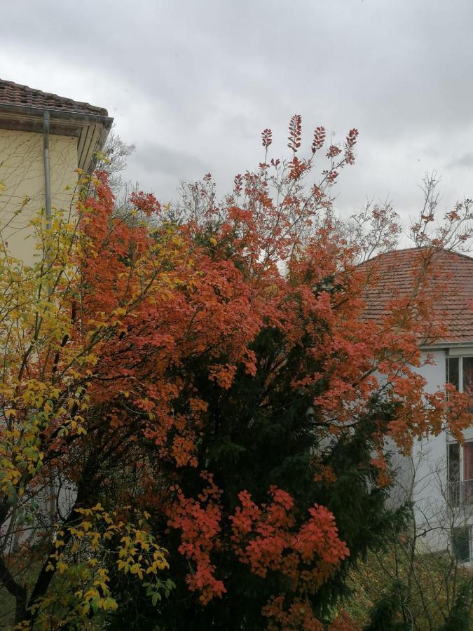 Gaestehaus Goethe-Institut Schwäbisch Hall Exteriör bild